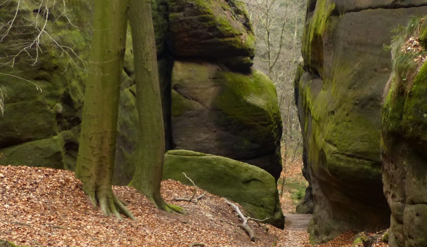 Wandern